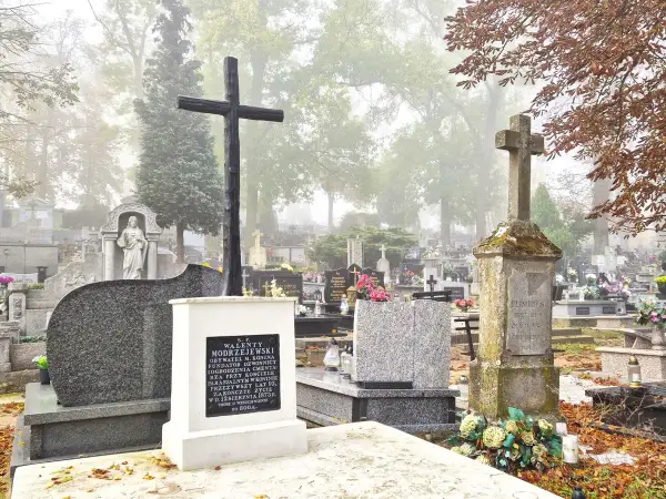 Dzień bez Stanika 13.10: Data, która ratuje życie? Sprawdź!